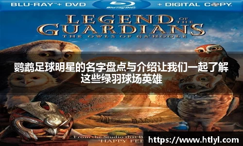 鹦鹉足球明星的名字盘点与介绍让我们一起了解这些绿羽球场英雄