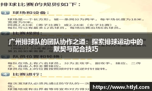 广州排球队的团队协作之道：探索排球运动中的默契与配合技巧