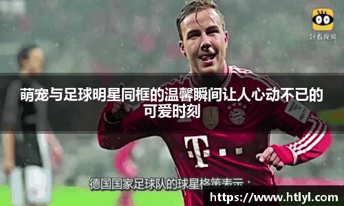 萌宠与足球明星同框的温馨瞬间让人心动不已的可爱时刻