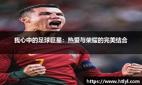 我心中的足球巨星：热爱与荣耀的完美结合